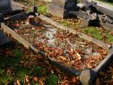 image of grave number 171858